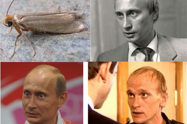 Kraken darknet ссылка