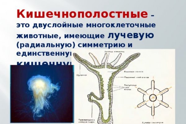 Ссылки на кракен маркетплейс тг